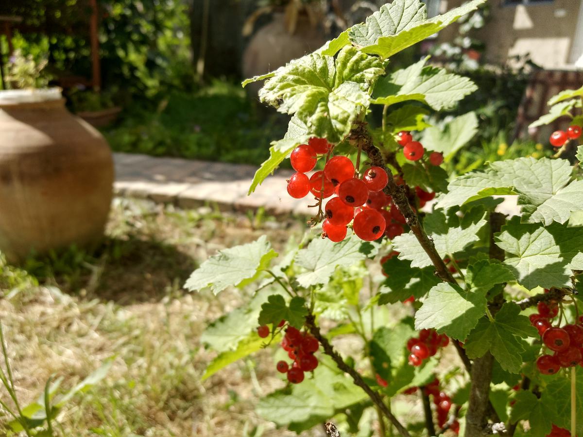 Gayane & Khikar B&B Chʼiva Buitenkant foto