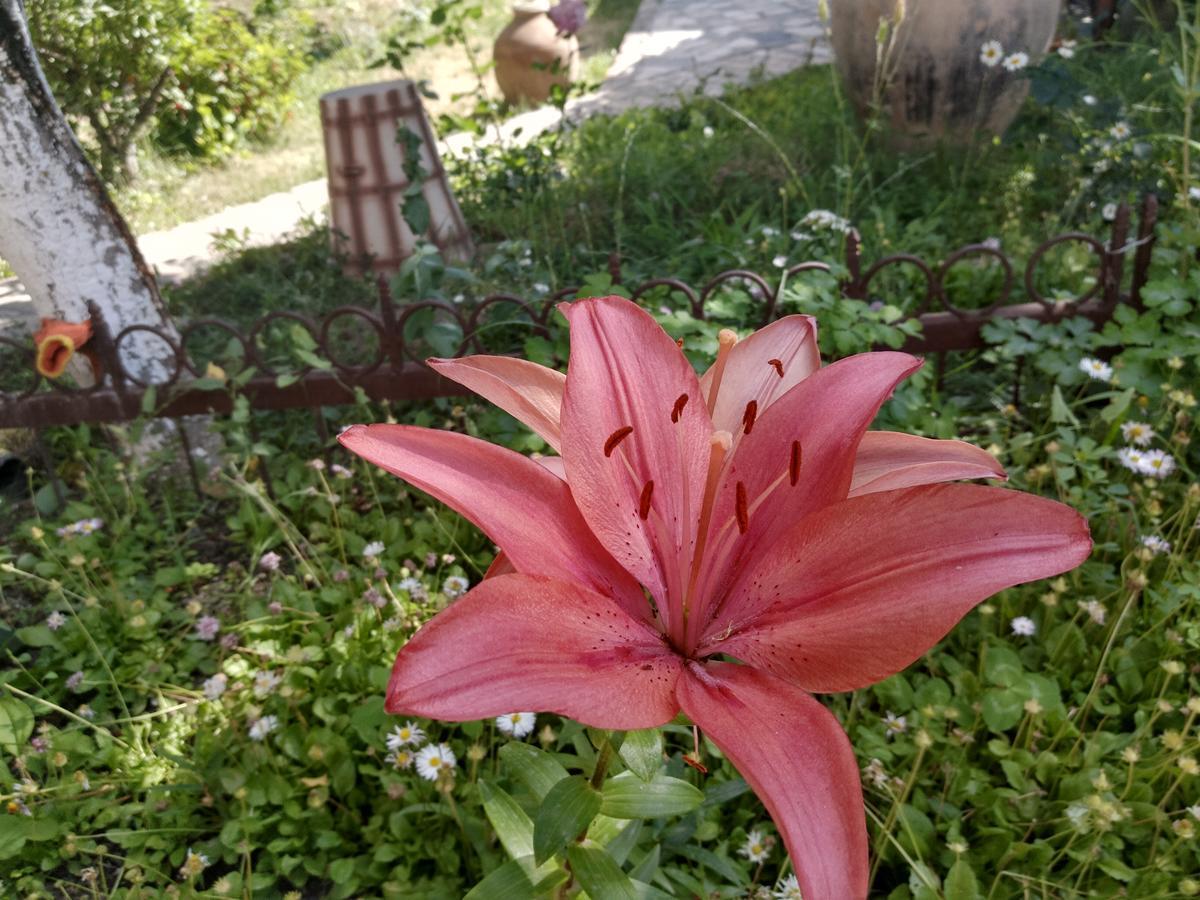 Gayane & Khikar B&B Chʼiva Buitenkant foto